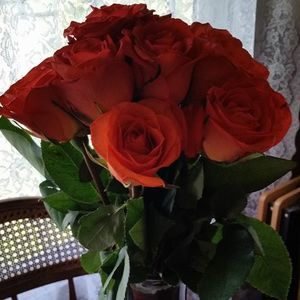 Meet your Posher, Mary